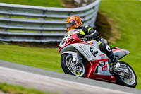 PJ-Motorsport-2019;anglesey;brands-hatch;cadwell-park;croft;donington-park;enduro-digital-images;event-digital-images;eventdigitalimages;mallory;no-limits;oulton-park;peter-wileman-photography;racing-digital-images;silverstone;snetterton;trackday-digital-images;trackday-photos;vmcc-banbury-run;welsh-2-day-enduro